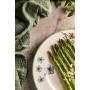 Flat Plate Toscana Ø 27 cm (6 Units)