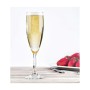 Champagne glass La Mediterránea (24 Units)