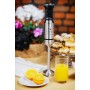 Mixeur plongeant Eldom BL220 Argenté 1000 W