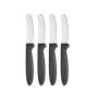 Ensemble de Couteaux Kinvara CN-KT172244E Noir Argenté Acier inoxydable Plastique 17 cm (12 Unités)