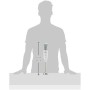 Mixeur plongeant BOSCH ErgoMixx MSM66120 600W Blanc Gris 600 W