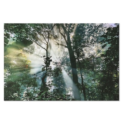 Cadre Home ESPRIT Vert Imprimé 150 x 0,4 x 100 cm