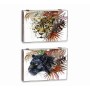 Decorative box DKD Home Decor White Multicolour MDF Wood Tropical Wild Counter (2 Units)