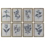 Painting DKD Home Decor Modern Botanical plants 50 x 2,5 x 70 cm (8 Units)