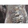 Painting Home ESPRIT Elephant Colonial 90 x 3 x 120 cm (2 Units)