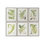 Painting Home ESPRIT Modern Fern 50 x 2,5 x 65 cm (6 Units)