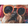 Painting Home ESPRIT Modern Dog 50 x 3,5 x 50 cm (2 Units)