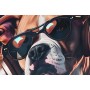 Painting Home ESPRIT Blue Brown Red Modern Dog 50 x 3,5 x 50 cm (2 Units)