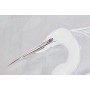 Cadre Home ESPRIT Blanc Beige Gris Oiseau Oriental 80 x 3,5 x 80 cm (2 Unités)
