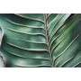 Painting Home ESPRIT Green Palms Tropical 80 x 3,5 x 120 cm (2 Units)