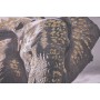 Painting Home ESPRIT Beige Grey Elephant Colonial Glitter 150 x 4 x 50 cm (2 Units)