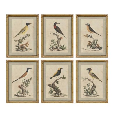 Painting Home ESPRIT Beige Bird Shabby Chic 45 x 3 x 60 cm (6 Units)