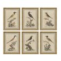 Painting Home ESPRIT Beige Bird Shabby Chic 45 x 3 x 60 cm (6 Units)