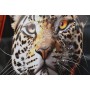 Painting Home ESPRIT Yellow Blue Black Pink Animal Modern Lacquered 50 x 4 x 100 cm (3 Units)