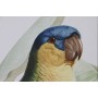 Painting Home ESPRIT Yellow Green Parrot Tropical 50 x 2,5 x 70 cm (2 Units)