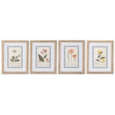 Cadre Home ESPRIT Shabby Chic Plantes botaniques 40 x 2,5 x 50 cm (4 Unités)