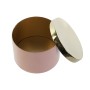 Jewelry box DKD Home Decor Green Coral Iron 13 x 13 x 9 cm (2 Pieces) (2 Units)