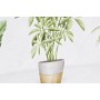 Cadre DKD Home Decor Plante (90 x 2,3 x 30 cm) (90 x 1,5 x 30 cm) (2 Unités)