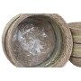 Planter Home ESPRIT Brown Green Fibre Arab 44 x 44 x 33 cm (6 Units)