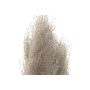 Decorative Plant DKD Home Decor Beige Burgundy (7 x 7 x 120 cm) (2 Units)