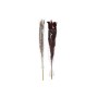 Decorative Plant DKD Home Decor Beige Burgundy (7 x 7 x 120 cm) (2 Units)