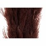 Decorative Plant DKD Home Decor Beige Burgundy (7 x 7 x 120 cm) (2 Units)