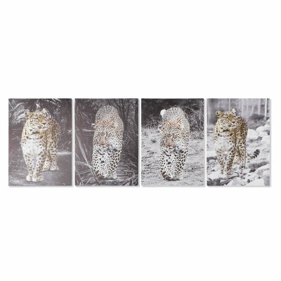 Painting DKD Home Decor Leopard Colonial (50 x 1,8 x 70 cm) (4 Units)