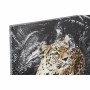 Painting DKD Home Decor Leopard Colonial (50 x 1,8 x 70 cm) (4 Units)