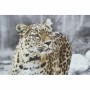 Painting DKD Home Decor Leopard Colonial (50 x 1,8 x 70 cm) (4 Units)