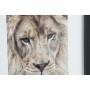 Painting DKD Home Decor Colonial Jungle (35 x 2,5 x 45 cm) (35 x 2 x 45 cm) (4 Units)