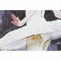Painting DKD Home Decor (40 x 1,8 x 60 cm) (2 Units)