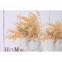 Painting DKD Home Decor Plant pot (60 x 1,8 x 30 cm) (2 Units)