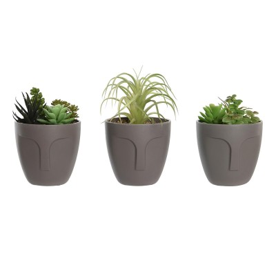 Decorative Plant DKD Home Decor Grey Beige Polyethylene Green polypropylene (11 x 11 x 15 cm) (3 Units)