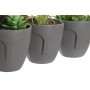 Decorative Plant DKD Home Decor Grey Beige Polyethylene Green polypropylene (11 x 11 x 15 cm) (3 Units)