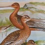 Painting DKD Home Decor Crystal MDF Wood Birds (40 x 50 x 1,8 cm) (6 Units)