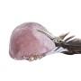 Décorations de Noël DKD Home Decor Polyester Oiseau (25 x 8 x 8 cm) (2 Unités)