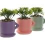 Decorative Plant Home ESPRIT Polyethylene Cement Urban 9 x 7 x 12 cm (3 Units)