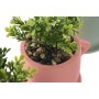 Decorative Plant Home ESPRIT Polyethylene Cement Urban 9 x 7 x 12 cm (3 Units)