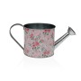 Watering Can Versa Pink Flowers