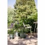 Plant pot Elho Green 25 x 24,5 x 18 cm