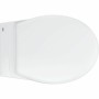 Toilet Grohe   Suspended White