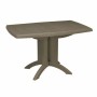 Table Piable Grosfillex Vega Vert Résine Plastique 118 x 77 x 72 cm