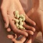 Facial Oil Eve Lom Capsules 1,25 ml x 50