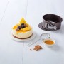 Springform Pan Pyrex Carbon steel