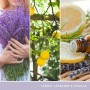 Bougie Parfumée Yankee Candle 1629970E Violet
