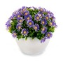 Plante décorative Ibergarden S17-L048 Plastique Marguerite 14 x 13 x 14 cm (12 Unités)