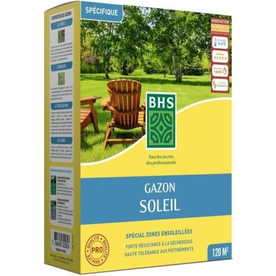 Seeds BHS 3 Kg