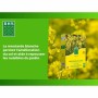 Plant fertiliser BHS 500 g