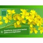 Engrais pour les plantes BHS 500 g