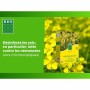 Engrais pour les plantes BHS 500 g